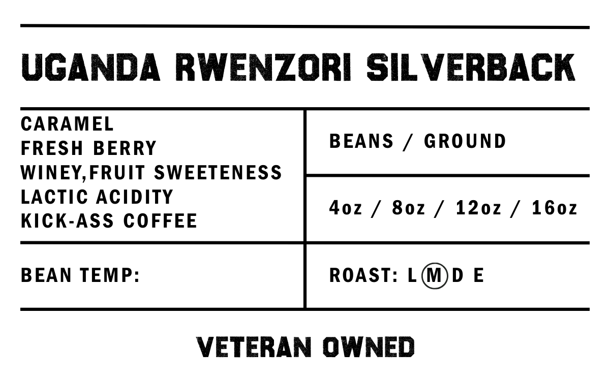 Uganda Rwenzori Silverback